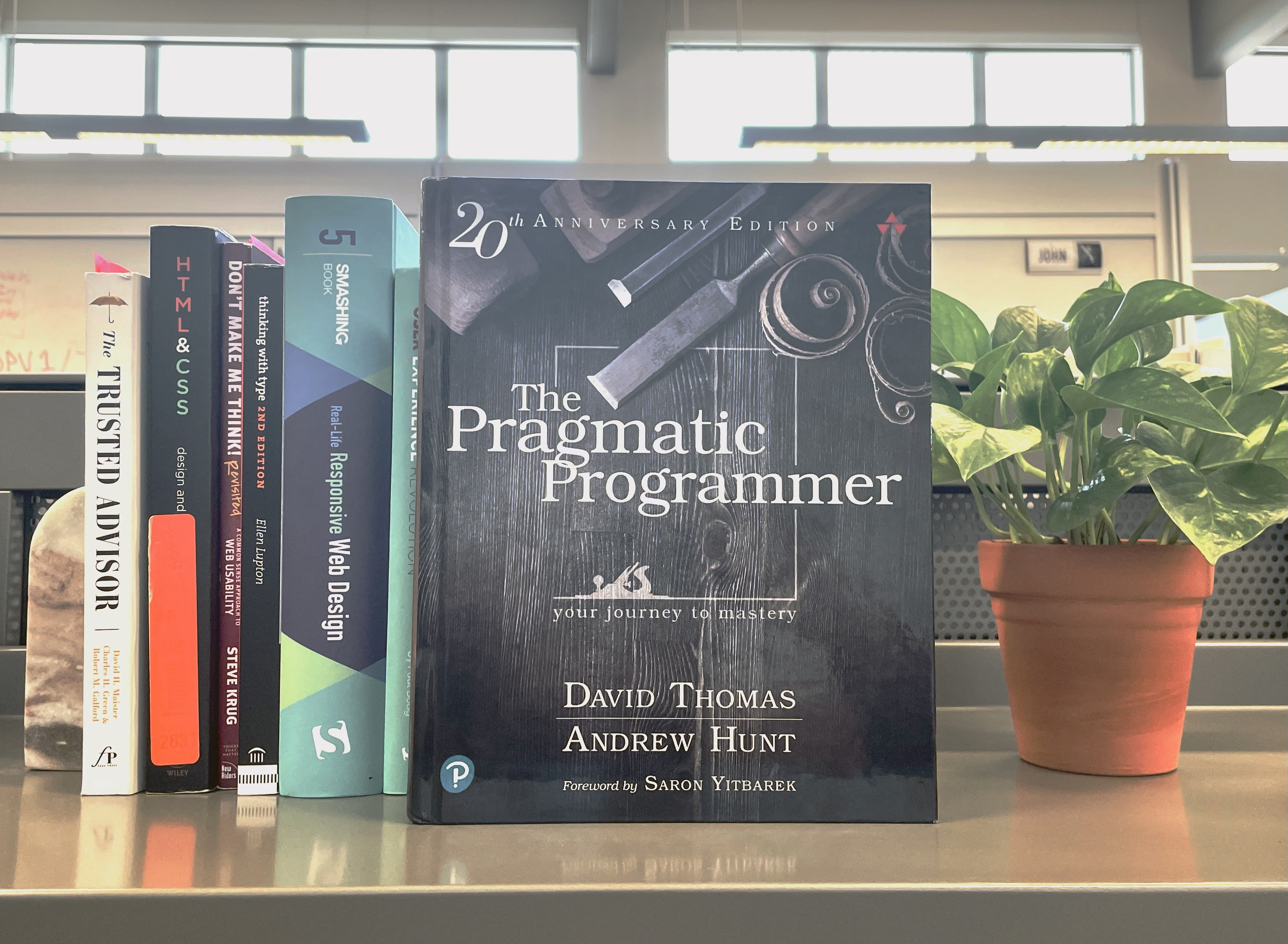 Pragmatic Programmer