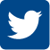 twitterIconAlt