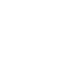 Microsoft Partner